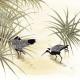 Birds in Pond