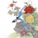 Blue Birds 