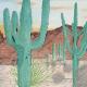 Desert Cactus