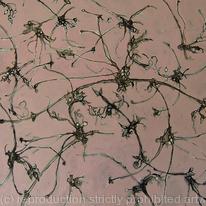 Black clematis