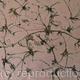Black clematis