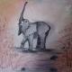 Lucky Elephant