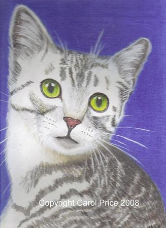 Egyptian Mau Cat
