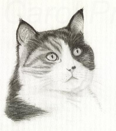 Tabatha