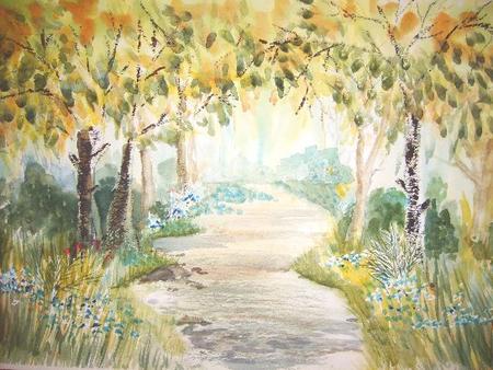 Bluebell Woodland