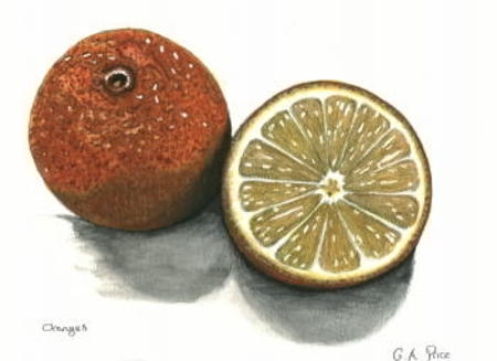 Oranges
