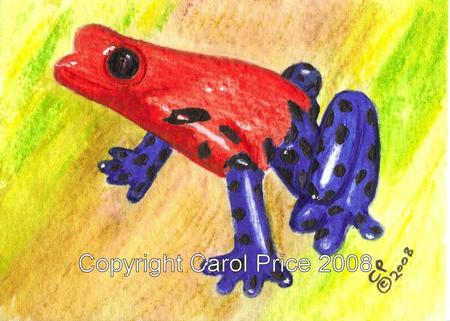 Strawberry Poison Dart Frog