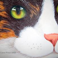 Tabby Cat Eyes