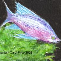 Tropical Fish