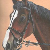 Kauto Star