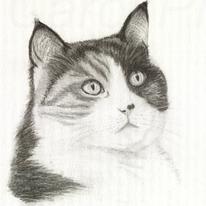 Tabatha