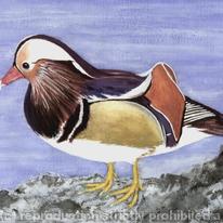 Mandarin Duck