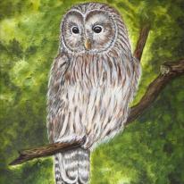 Ural Owl