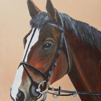 Kauto Star