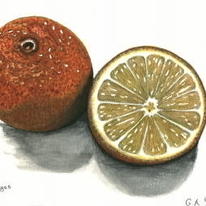 Oranges