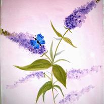 Butterfly and Buddleas