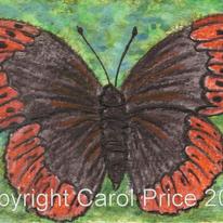 4 Diana Fritillary