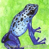 Blue Poison Dart Frog