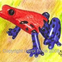 Strawberry Poison Dart Frog