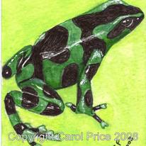 Green and Black Poison Frog