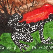 Red Backed Poison Dart Frog