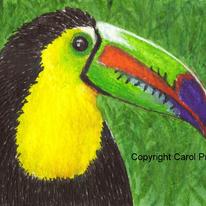 Toucan Billy