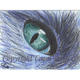 Cat Eye Closeup