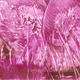 Encaustic Dreamscape…