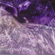 Encaustic Dreamscape…