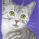 Egyptian Mau Cat