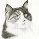 Tabatha