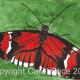 9 Postman Butterfly…