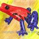 Strawberry Poison Dart…
