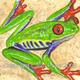 Green Tree Frog