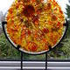Sunburst Orb