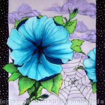 Spiders Web