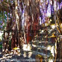 Photo 45