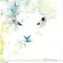 Sheep Two