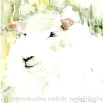 Sheep Three