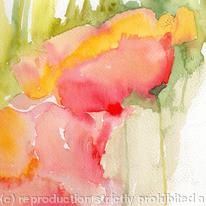 Poppies