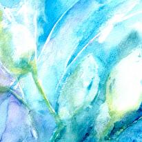 blue crocus