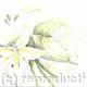Flower Festival Wychling… | £35 | 38 x 28cm | watercolour Flower Festival Wychling…