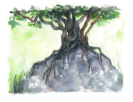 Roots