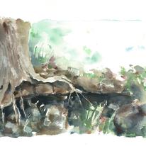 Roots