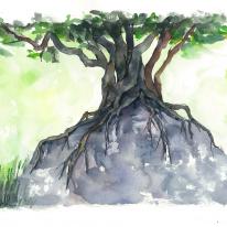 Roots