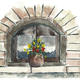 Flowers on the Window