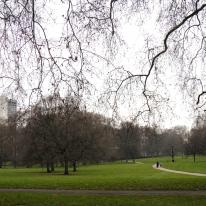 Park