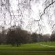 Park | | | Park