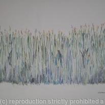 French corn field