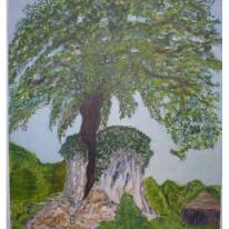 Tree in the Rock